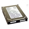 Disco SATA 3.5" 320 GB Seagate ST3320613AS